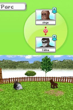 Pantallazo de Animalz: Una Familia de Monkeyz para Nintendo DS