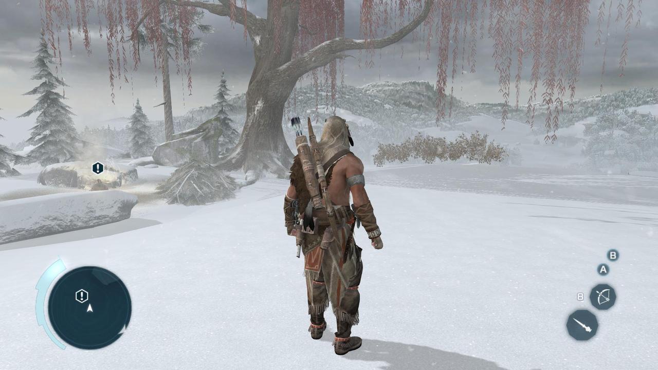 Pantallazo de Assassins Creed 3: Washington Edition para PC
