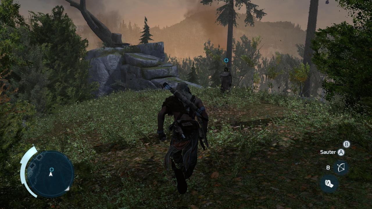 Pantallazo de Assassins Creed 3: Washington Edition para PC