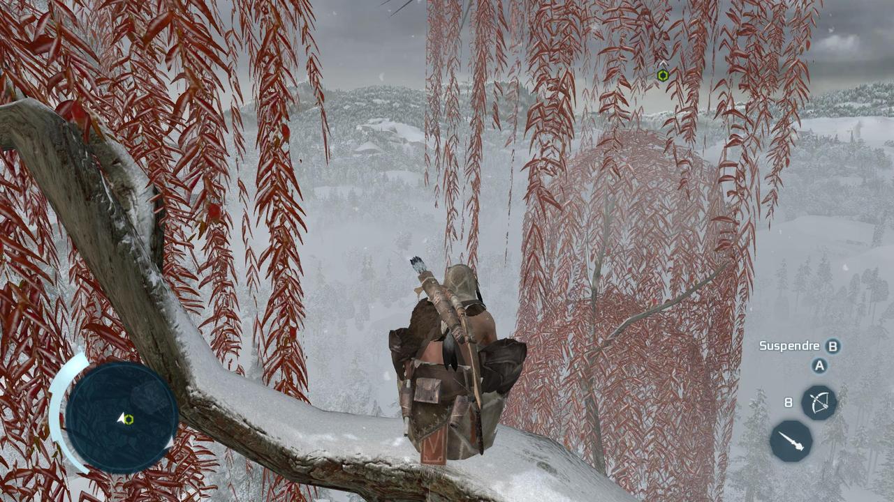 Pantallazo de Assassins Creed 3: Washington Edition para PC
