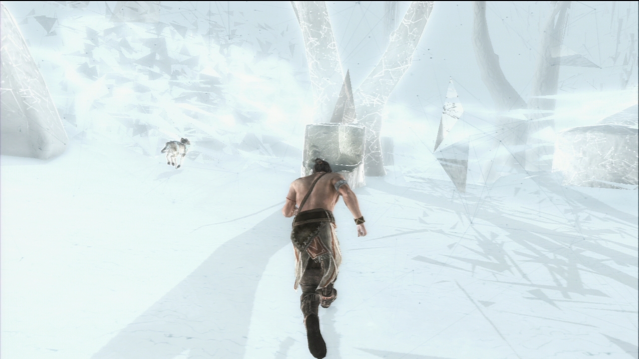 Pantallazo de Assassins Creed 3: Washington Edition para PlayStation 3