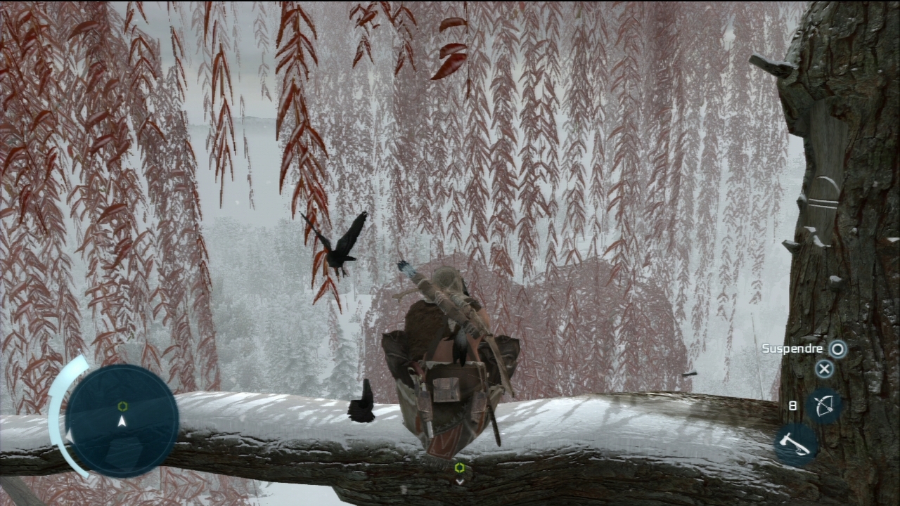 Pantallazo de Assassins Creed 3: Washington Edition para PlayStation 3