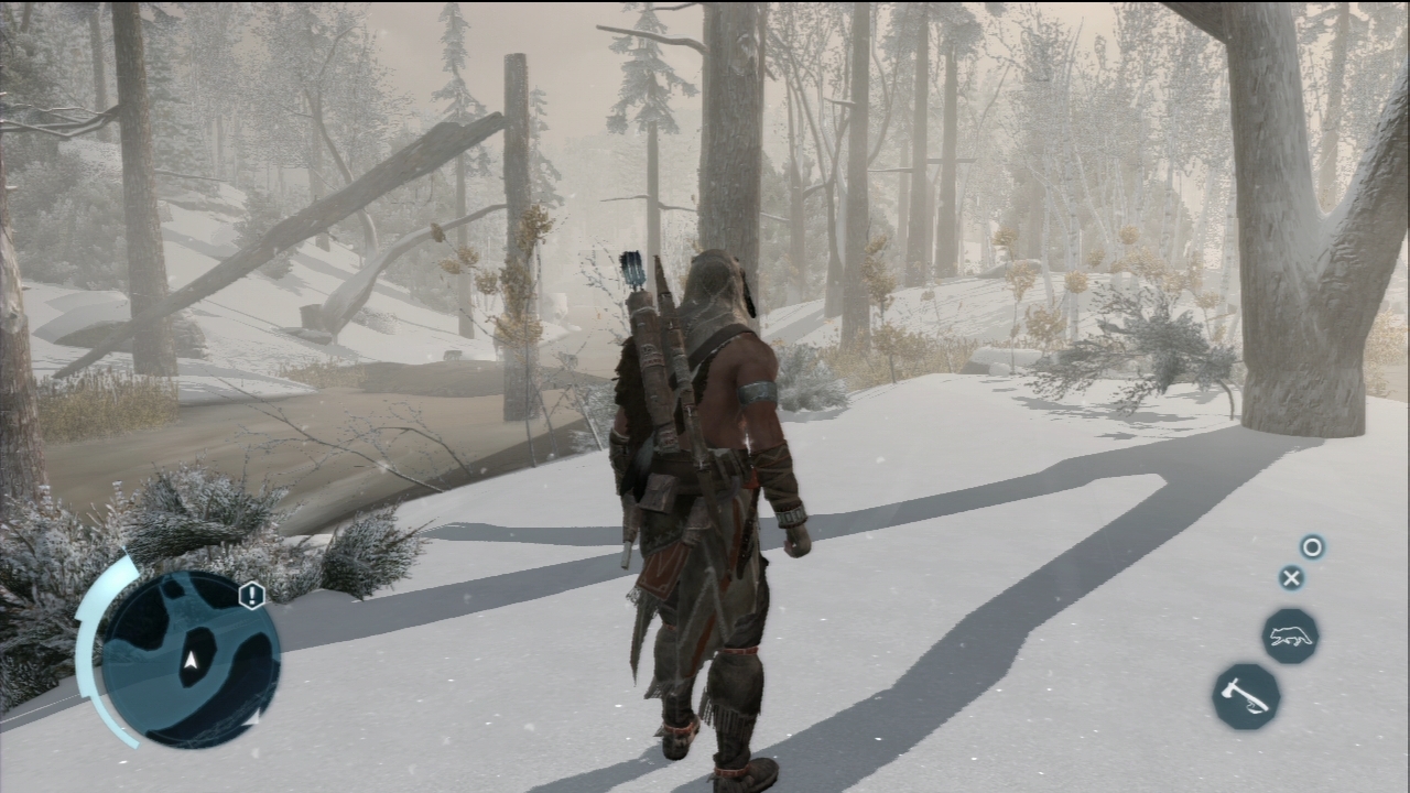 Pantallazo de Assassins Creed 3: Washington Edition para PlayStation 3