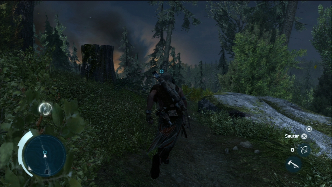 Pantallazo de Assassins Creed 3: Washington Edition para PlayStation 3
