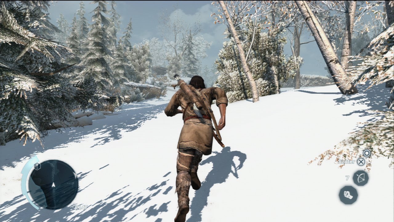 Pantallazo de Assassins Creed 3 Join Or Die Edición Coleccionista para PlayStation 3