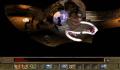 Foto 1 de Baldur's Gate II: Shadows of Amn Collector's Edition