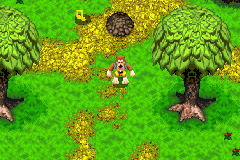 Pantallazo de Banjo Kazooie - La venganza de Grunty para Game Boy Advance