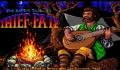 Pantallazo nº 893 de Bard's Tale III, The: Thief Of Fate (317 x 203)
