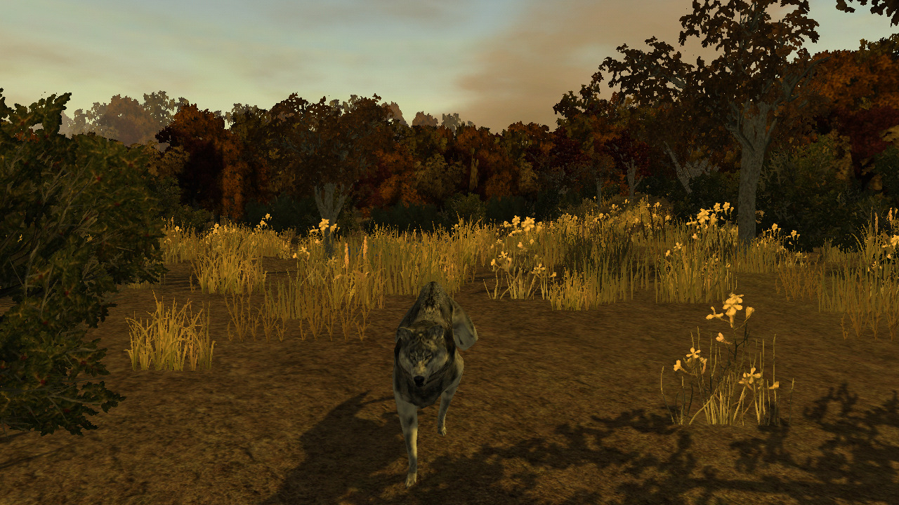 Pantallazo de Bass Pro Shops: The Hunt para Wii