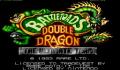 Battletoads/Double Dragon: The Ultimate Team (Europa)