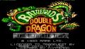 Battletoads/Double Dragon: The Ultimate Team (Europa)