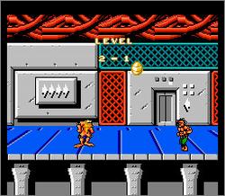 Pantallazo de Battletoads/Double Dragon: The Ultimate Team para Nintendo (NES)