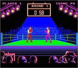 Pantallazo de Best of the Best: Championship Karate para Nintendo (NES)