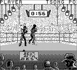 Pantallazo de Best of the Best Championship Karate para Game Boy
