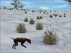 Pantallazo de Bird Hunter: Wild Wings Edition para PC