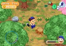 Pantallazo de Bokujou Monogatari: Shiawase no Uta for World (Japonés) para GameCube