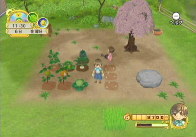 Pantallazo de Bokujou Monogatari: Yasuragi no Ki (Japonés) para Wii