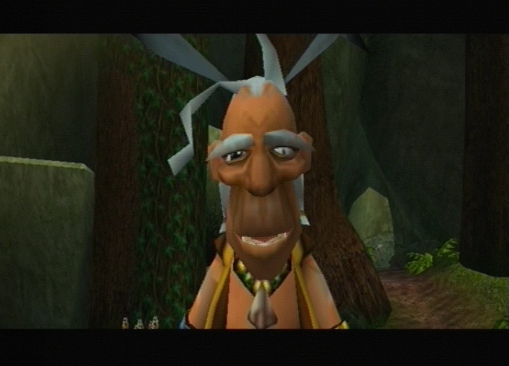 Pantallazo de Brave: A Warriors Tale para Wii