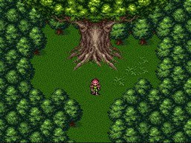 Pantallazo de Breath of Fire II (Europa) para Super Nintendo