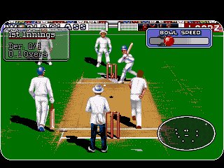 Pantallazo de Brian Lara's Cricket 96 para Amiga