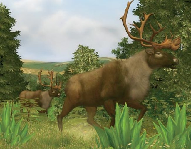 Pantallazo de Cabela's Big Game Hunter 2008 para Xbox 360