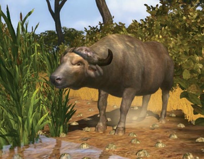 Pantallazo de Cabela's Big Game Hunter 2008 para Xbox 360