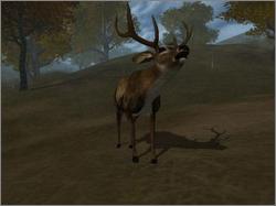 Pantallazo de Cabela's Dangerous Hunts 2 para PC
