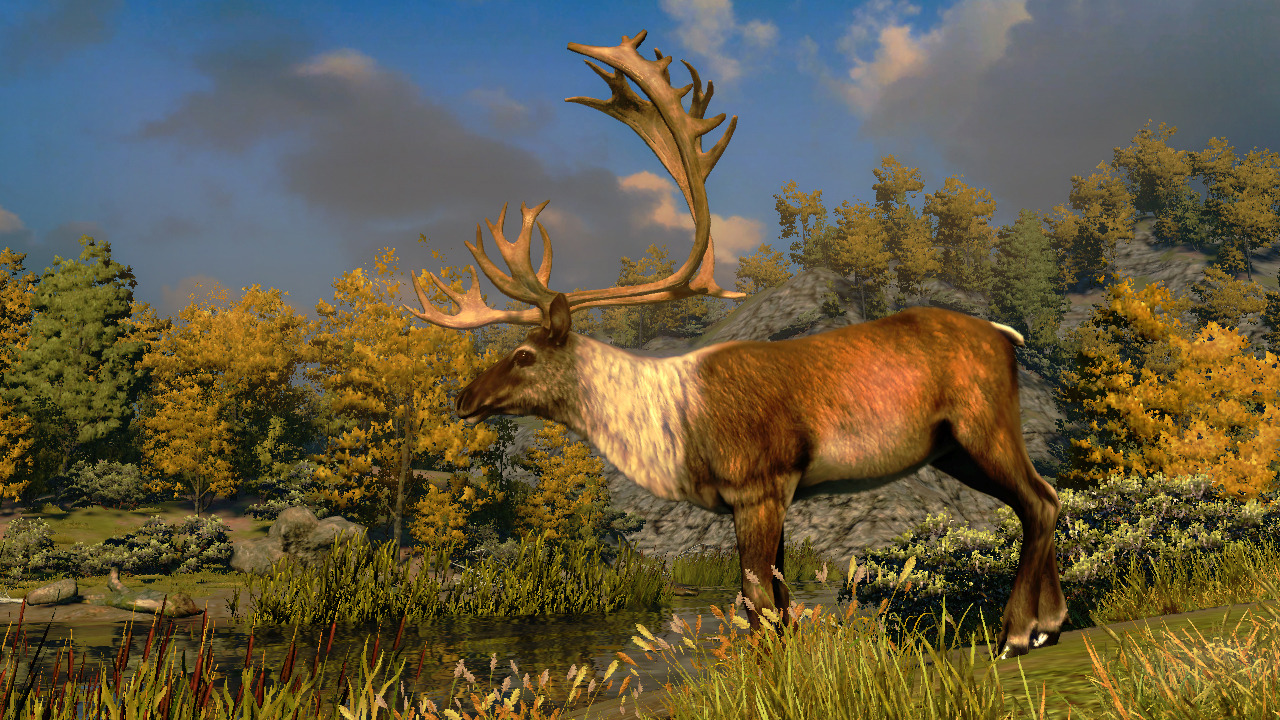 Pantallazo de Cabelas North American Adventures para Xbox 360