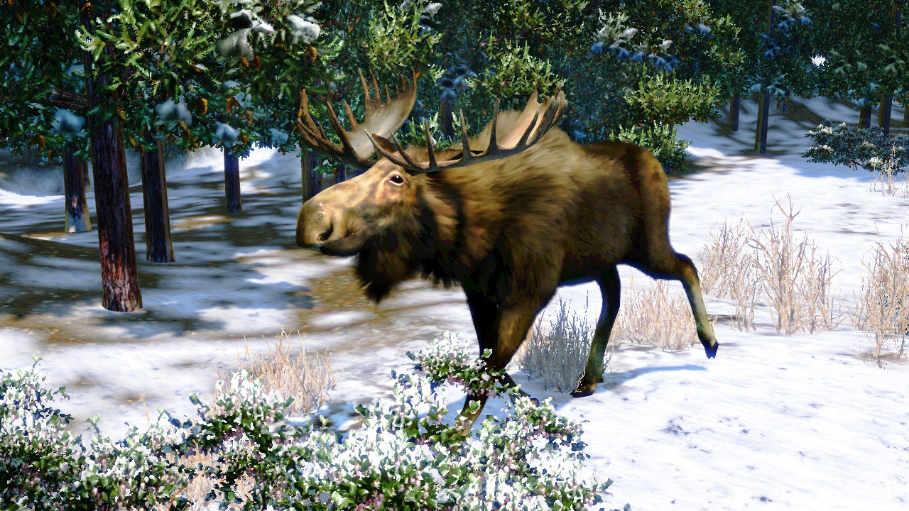 Pantallazo de Cabelas North American Adventures para Xbox 360