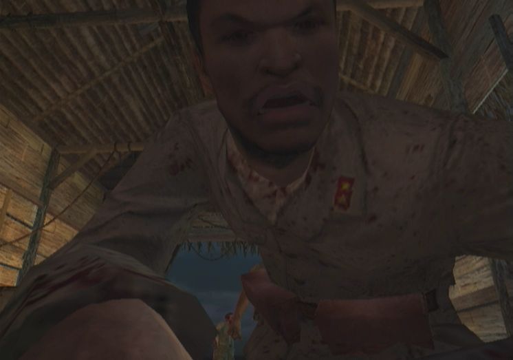 Pantallazo de Call of Duty: World at War para Wii