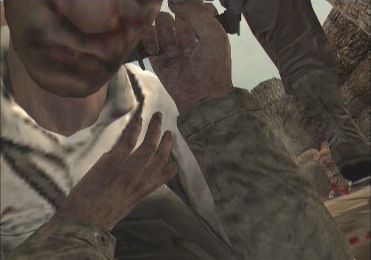 Pantallazo de Call of Duty: World at War para Wii