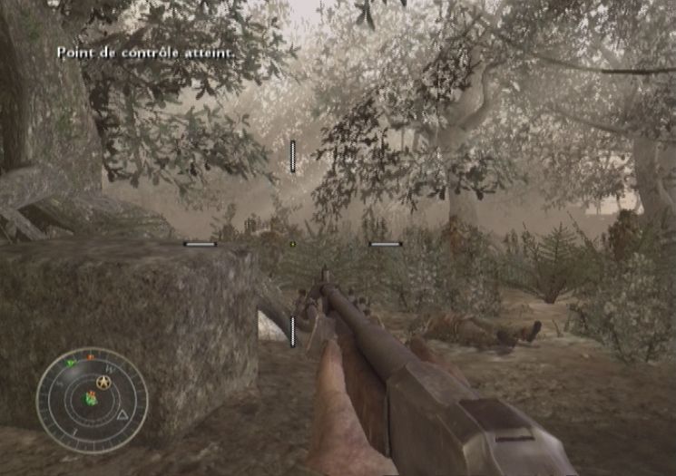 Pantallazo de Call of Duty: World at War para Wii