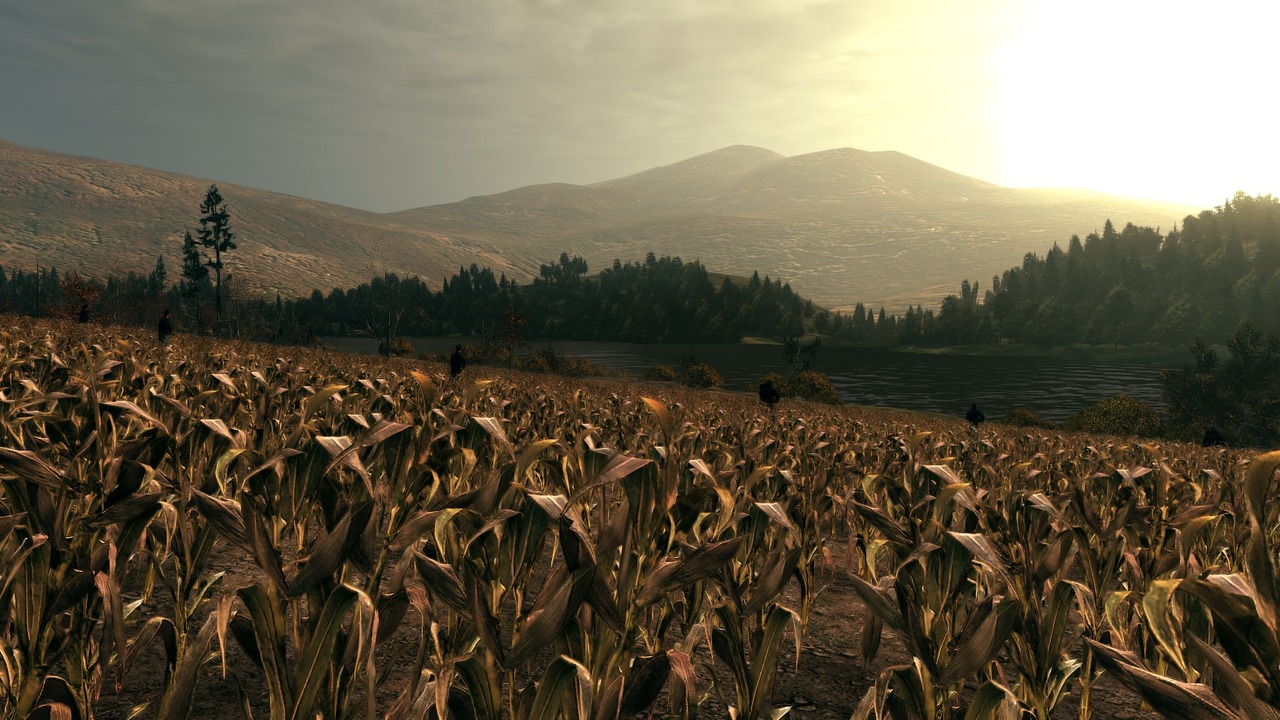 Pantallazo de Call of Juarez: Bound in Blood para PlayStation 3