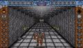 Foto 2 de Castle Warrior