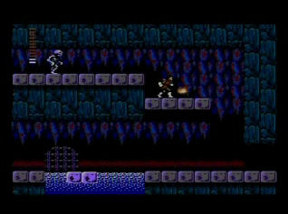 Pantallazo de Castlevania II : Simon's Quest (Consola Virtual) para Wii