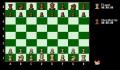 Pantallazo nº 1834 de Chessmaster 2100, The Fidelity (321 x 211)