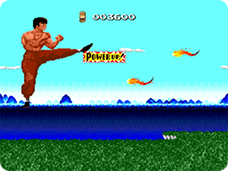 Pantallazo de China Warrior (Consola Virtual) para Wii