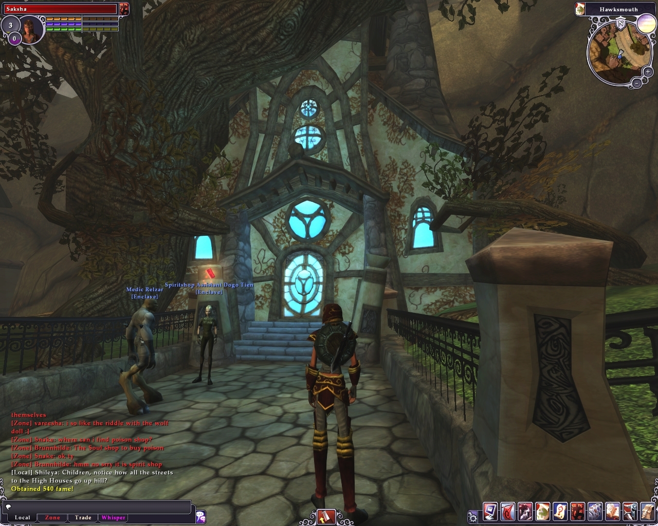 Pantallazo de Chronicles of Spellborn, The para PC