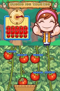 Pantallazo de Cooking Mama World: Aventuras En El Campo para Nintendo DS