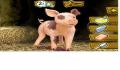 Foto 1 de Crazy Pig