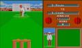 Pantallazo nº 2092 de Cricket Crazy (320 x 200)