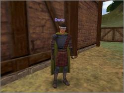 Pantallazo de Dark Age of Camelot para PC