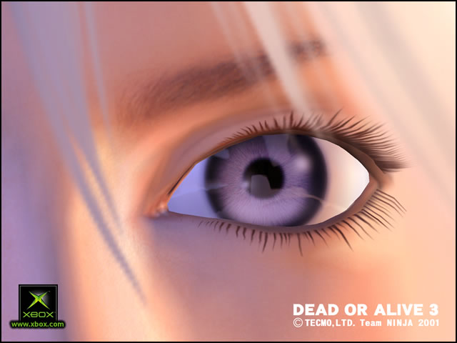 Pantallazo de Dead or Alive 3 para Xbox