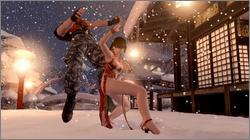 Pantallazo de Dead or Alive Online para Xbox