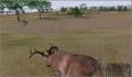 Pantallazo nº 65959 de Deer Hunter 2004 (250 x 187)