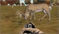 Pantallazo nº 55400 de Deer Hunter II: Monster Buck 3-Pack (250 x 173)
