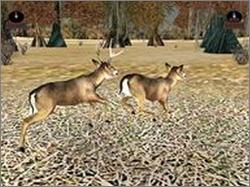 Pantallazo de Deer Hunter Presents: Trophy Collection para PC
