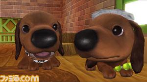Pantallazo de Dog Island, The (Japonés) para Wii