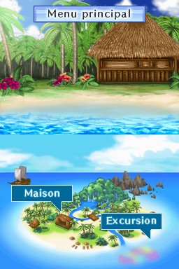 Pantallazo de Dolphins 2: Tus Amigos del Mar para Nintendo DS