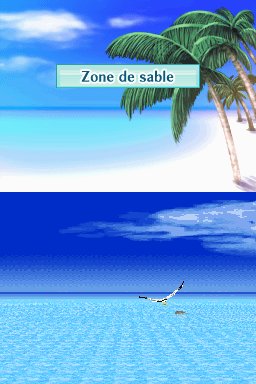 Pantallazo de Dolphins 2: Tus Amigos del Mar para Nintendo DS